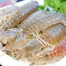 Bề bề nướng