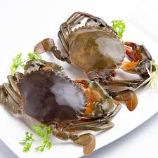 Cua biển luộc