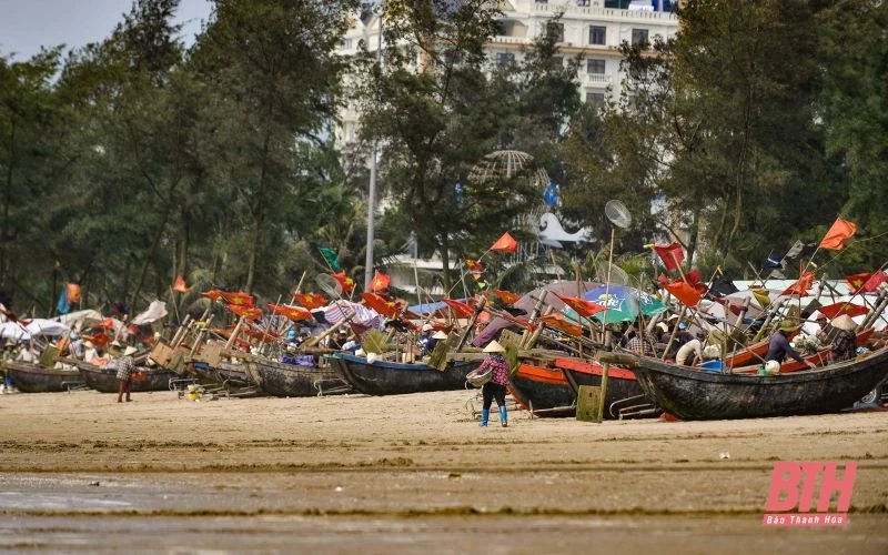 Làng chài