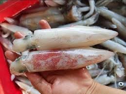 Mực ống xào